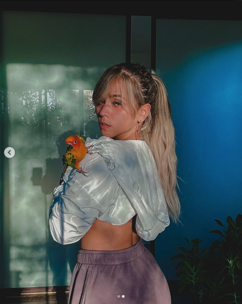 Screen Shot 2022-11-03 at 1.25